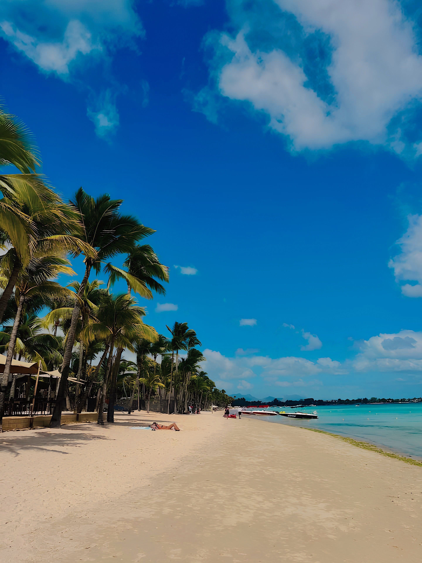 Palm-lined shoreline at Grand Baie, Mauritius